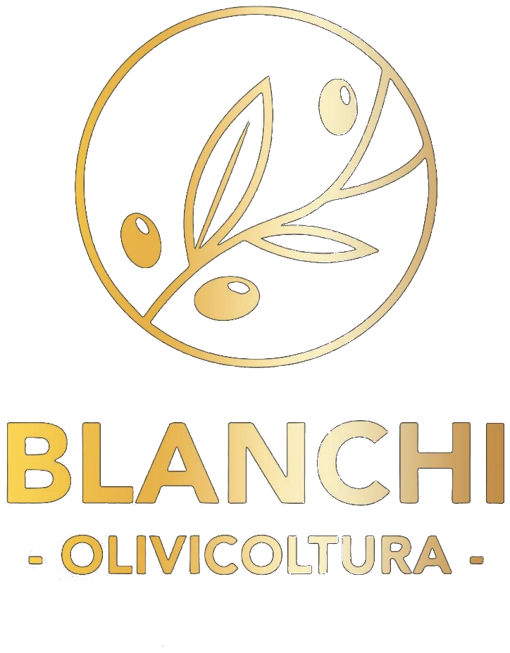 Blanchi Olivicoltura